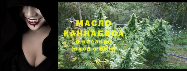гидра Новодвинск