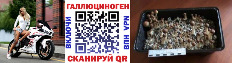 Галлюциногенные грибы MAGIC MUSHROOMS Сурск